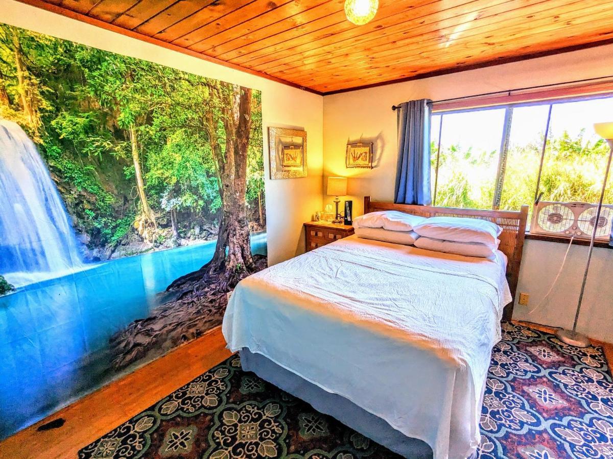 Hamakua Guesthouse Pepeekeo Kültér fotó