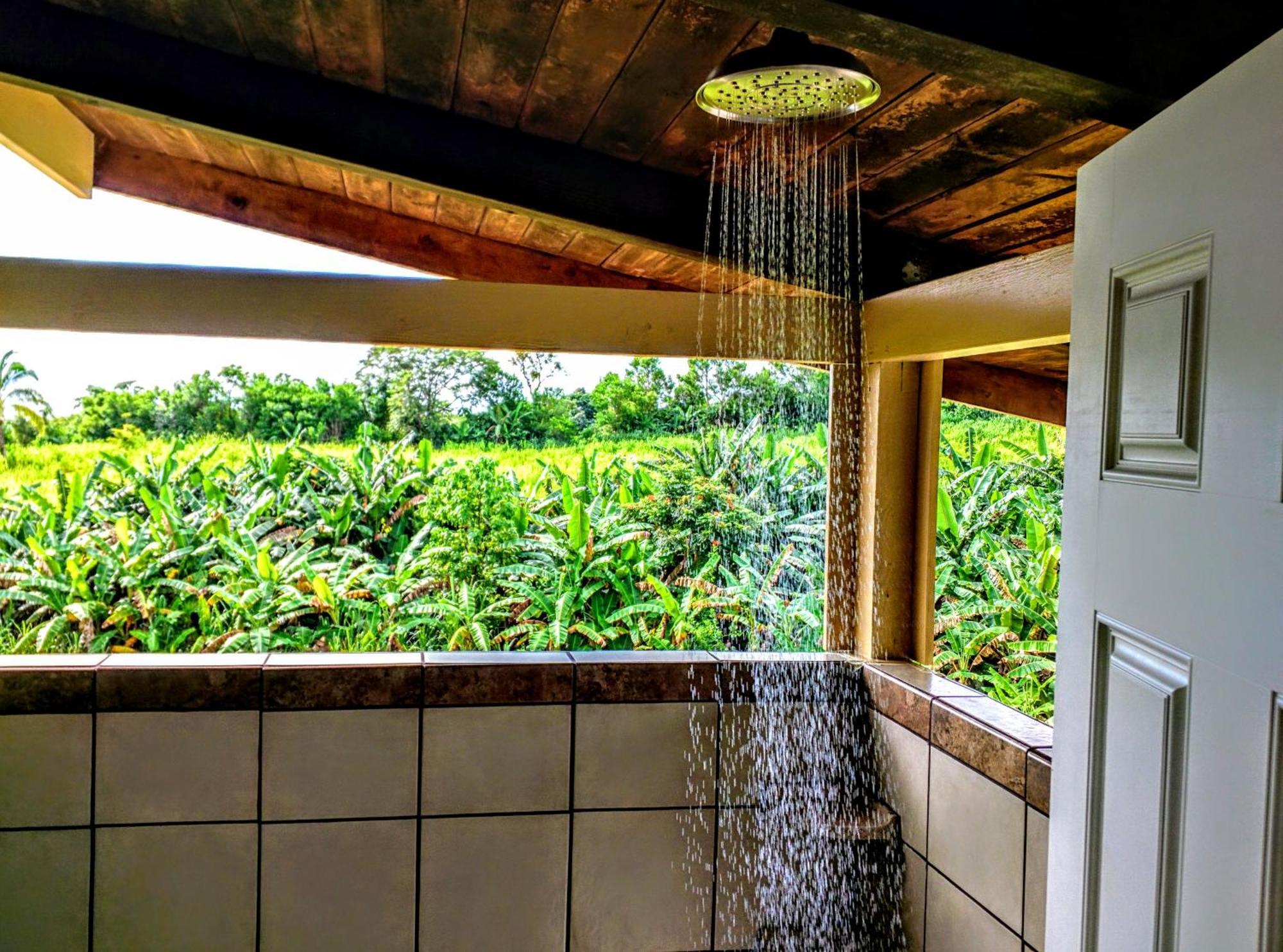 Hamakua Guesthouse Pepeekeo Kültér fotó